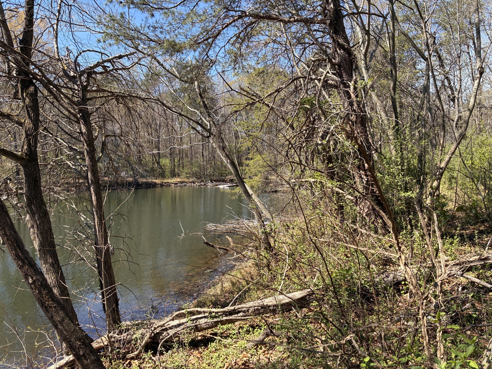 Twin Lakes at Legacy
