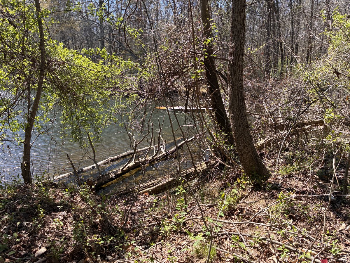 Lakeside Relaxation
